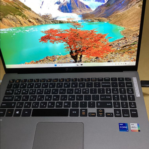 LG그램i7-1165G7 15Z95N-GP7JL