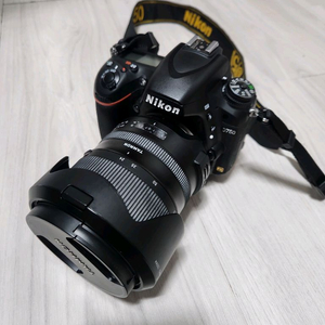니콘 D750 + 탐론 2470g2 f2.8