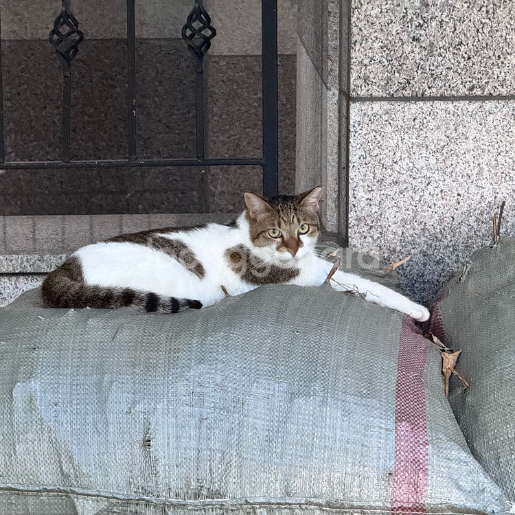 애플뮤직 가족공유 구해요--0