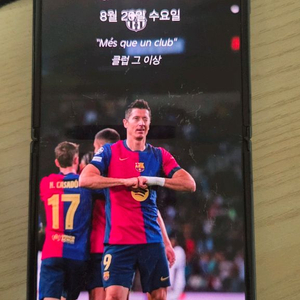 z플립 3