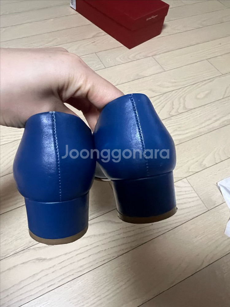 페레가모--1