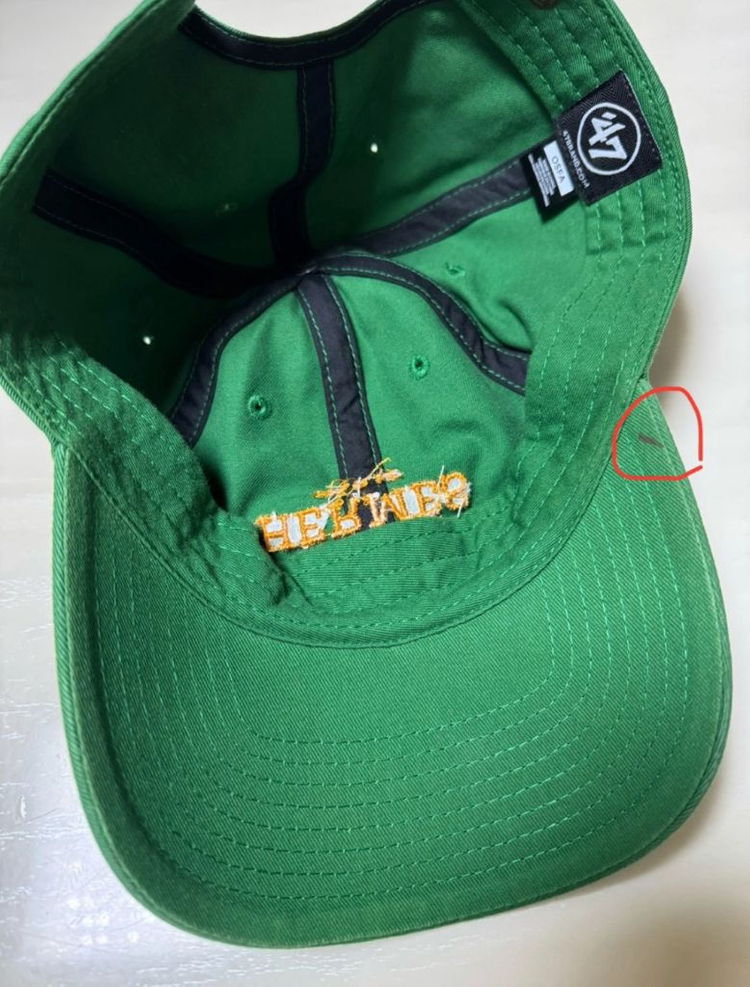 nptsss 에르메스 모자 (제니 모자) 이미지