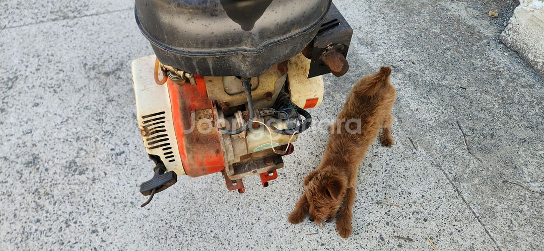 대동관리기 키시동 관리기 팝니다.--5