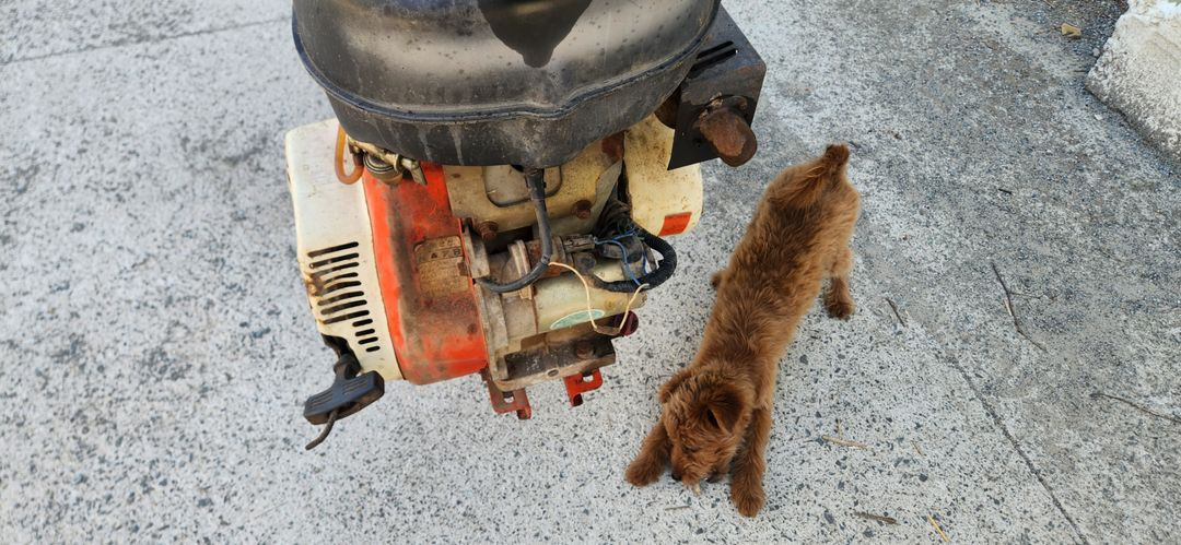 대동관리기 키시동 관리기 팝니다.--5