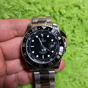 탠디 다이아 다이버시계