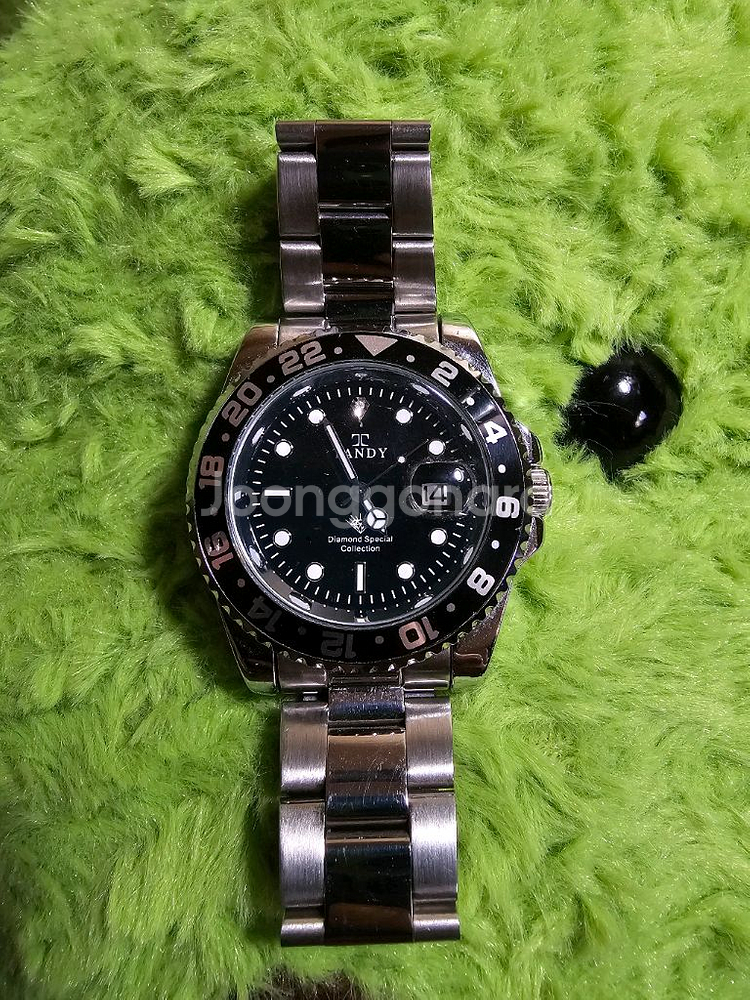 탠디 다이아 다이버시계--1