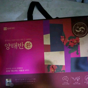 양태반환 종근당건강
