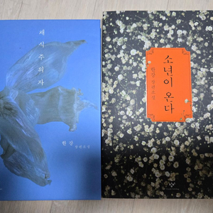 한강 소설 1만원