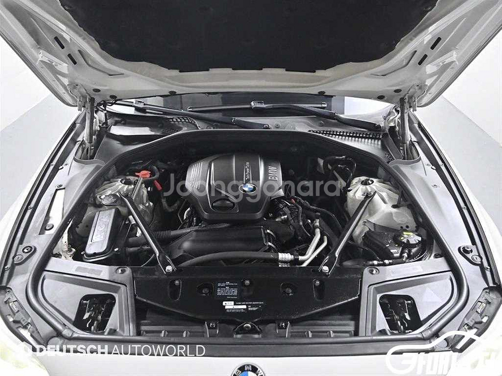 [BMW]5시리즈 (F10) 520d xDrive M--5