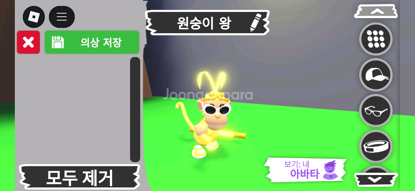 입양하세요 펫 메가네온 원숭이 왕(메킹몽) 판매합니다--0