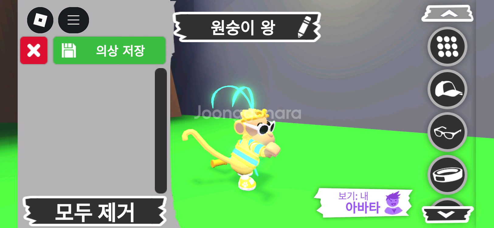 입양하세요 펫 메가네온 원숭이 왕(메킹몽) 판매합니다--1