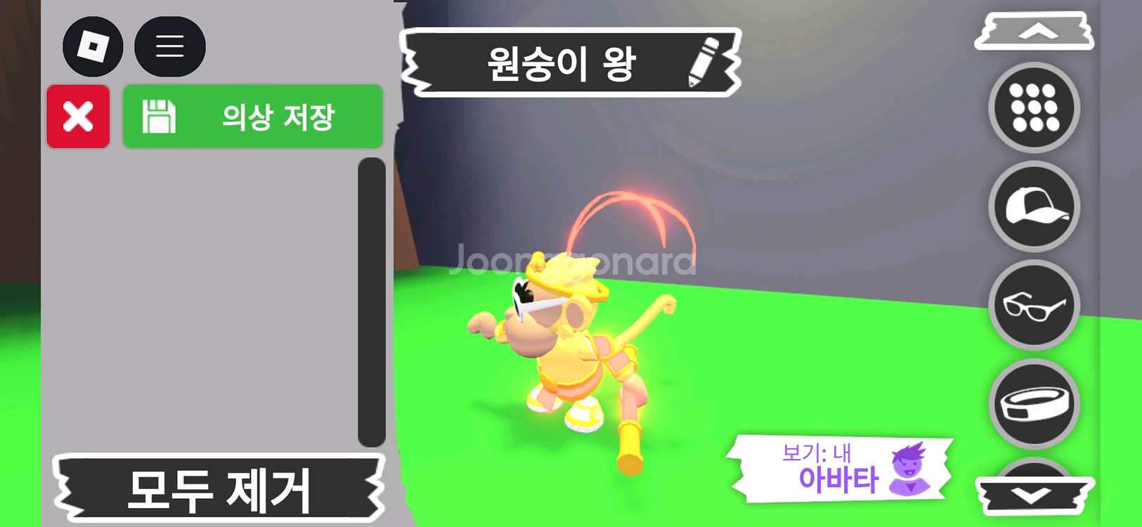 입양하세요 펫 메가네온 원숭이 왕(메킹몽) 판매합니다--2