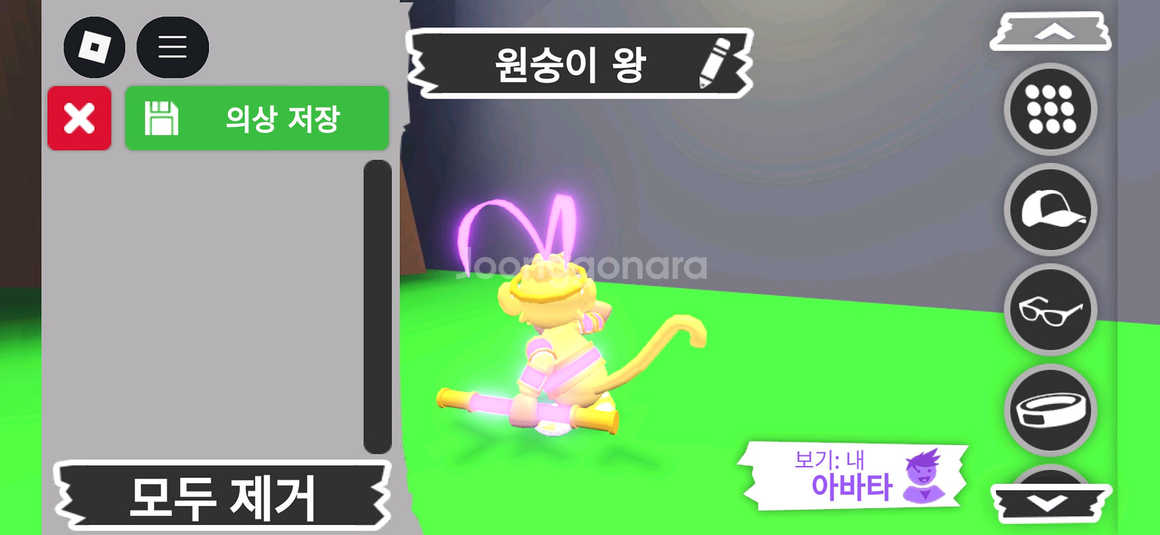 입양하세요 펫 메가네온 원숭이 왕(메킹몽) 판매합니다--3
