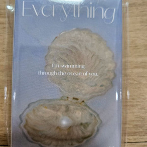포레스텔라 싱글앨범 everything 미개봉