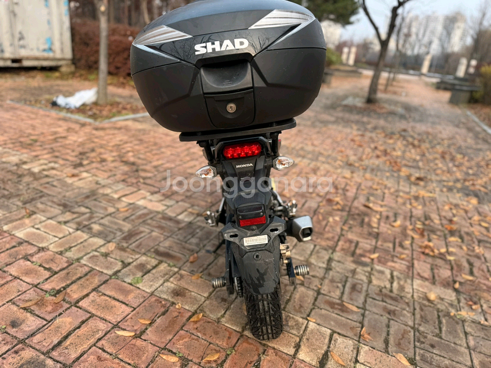 혼다 msx125 sf abs 17년 판매합니다--6