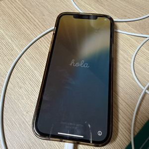 아이폰 12pro max 256gb