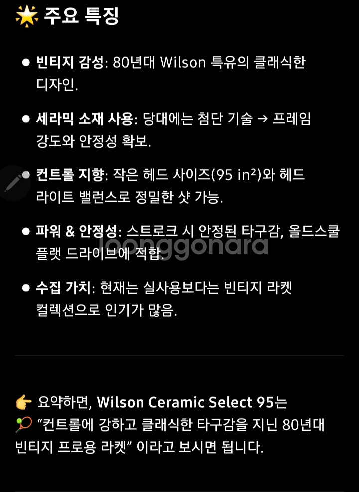 Wilson Ceramic Select 95 테니스라켓--6
