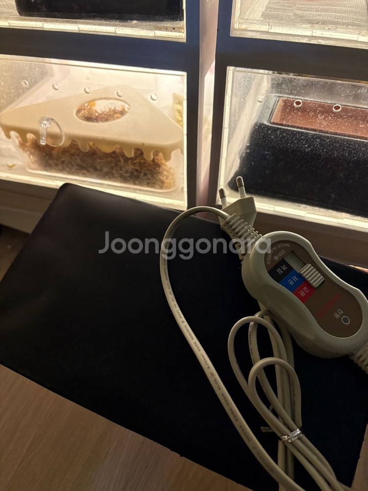 파충류 전기온열패드--1