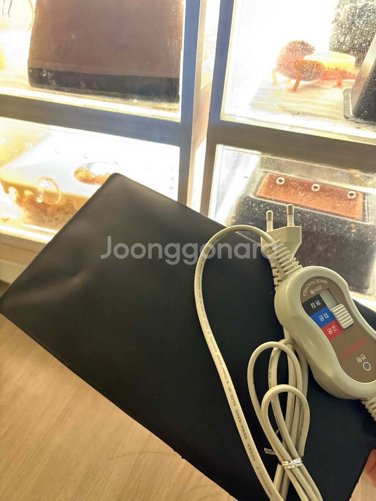 파충류 전기온열패드--0