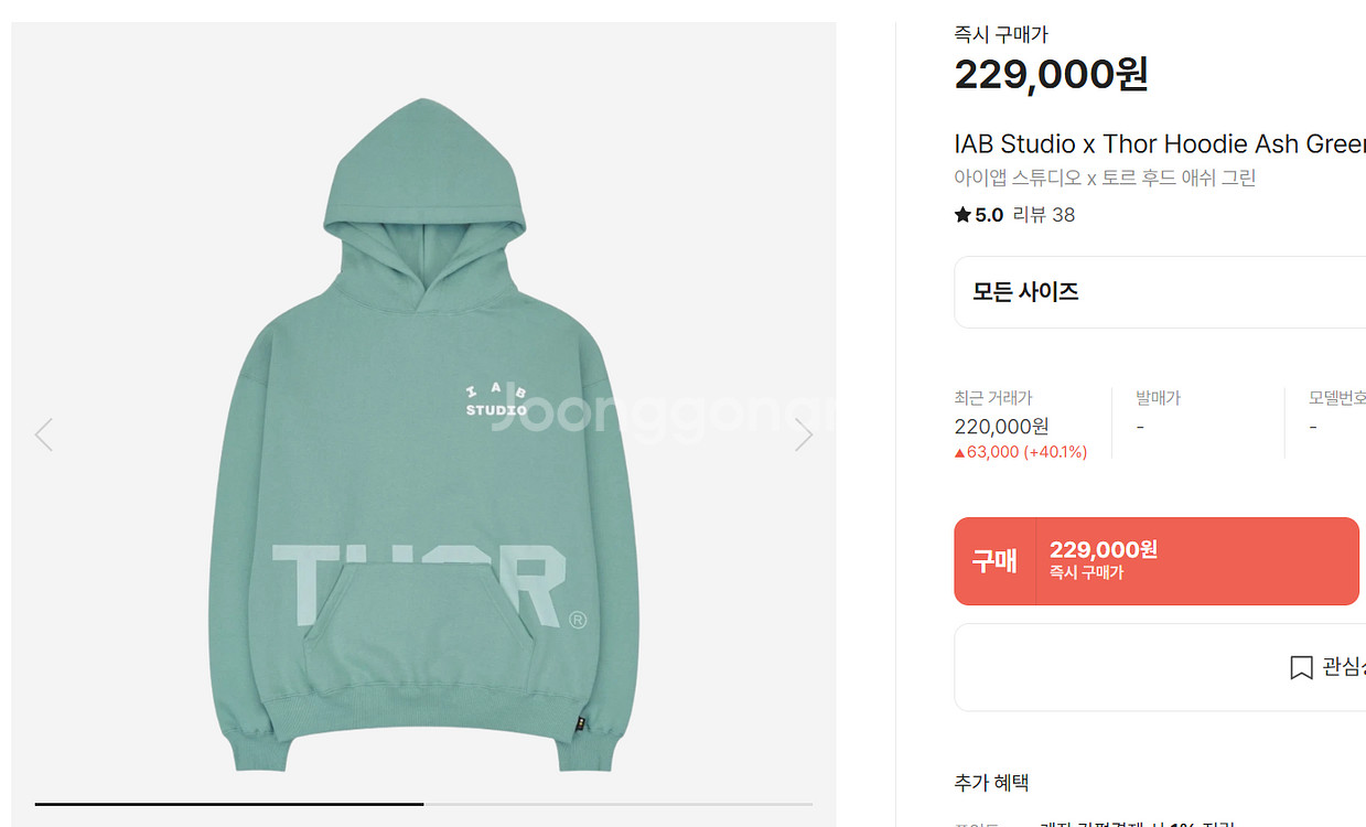 아이앱스튜디오 후드 ash green XL--0