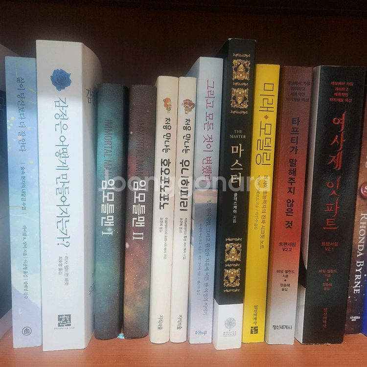 임모틀맨 처음만나는 호오포노포노 우니히피리 마스터--3