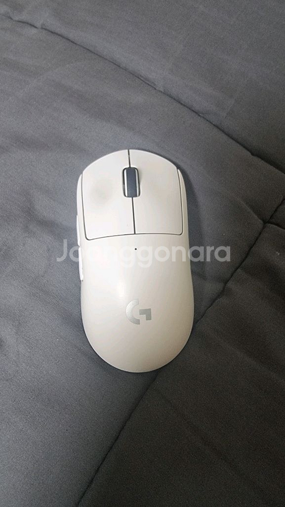 지슈라1 팝니다--1