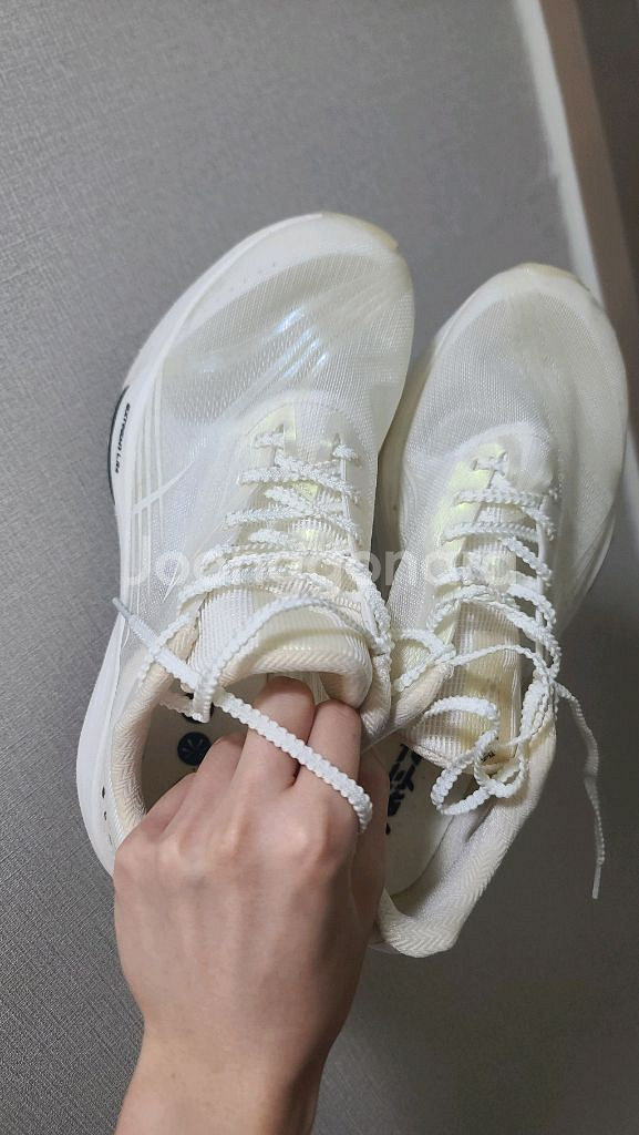 361도 퓨리어스 et 260--1