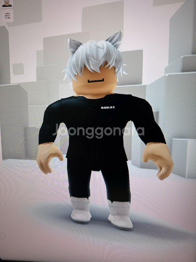 브래인롯 드래곤 사용--0