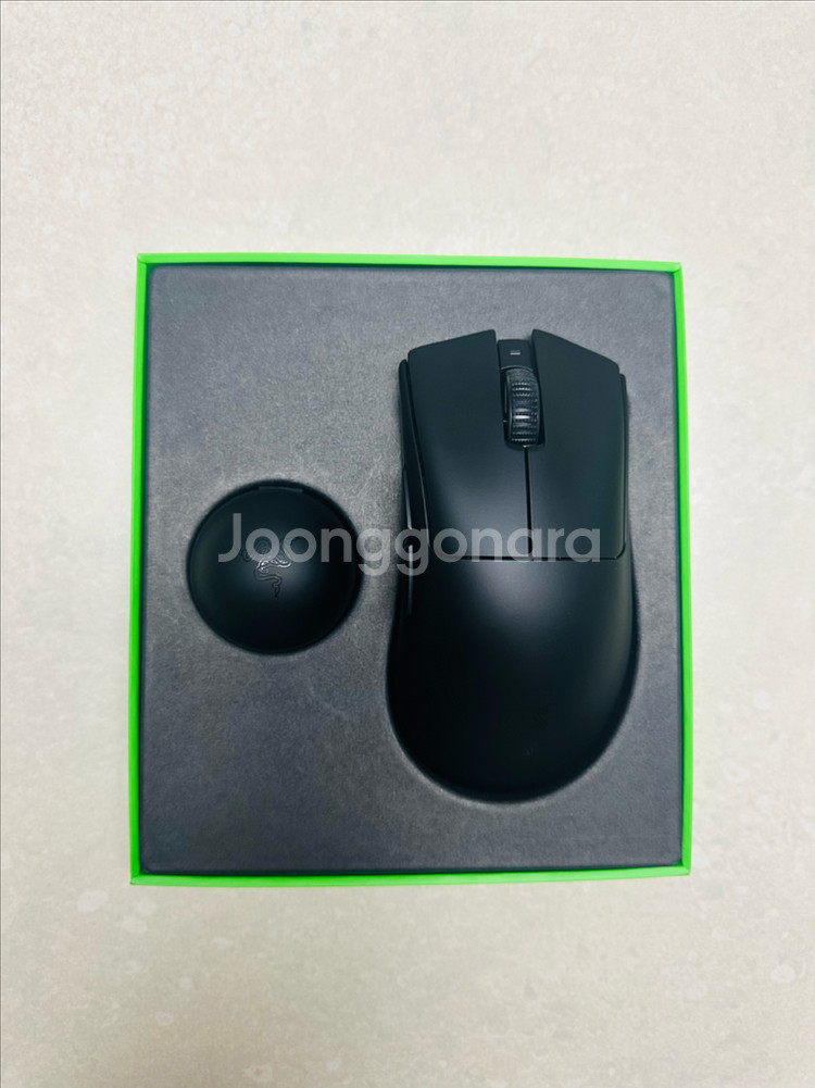 레이저 데스에더 v4 pro 마우스--1