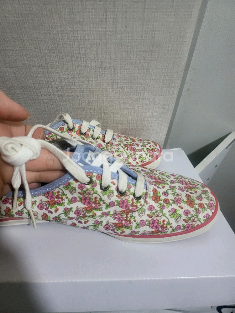 keds 플라워 새운동화 250--0