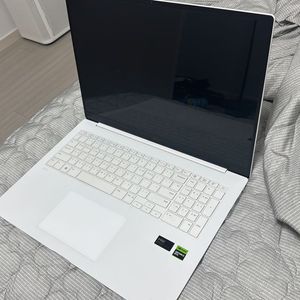 LG전자 그램 Pro 17 (17Z90SP-EA5CK)