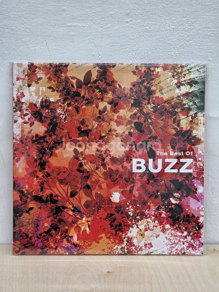 [미개봉] 버즈 LP--0