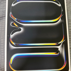 아이패드프로13 m4 256+셀룰러