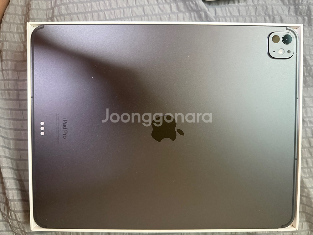 아이패드프로13 m4 256+셀룰러--1
