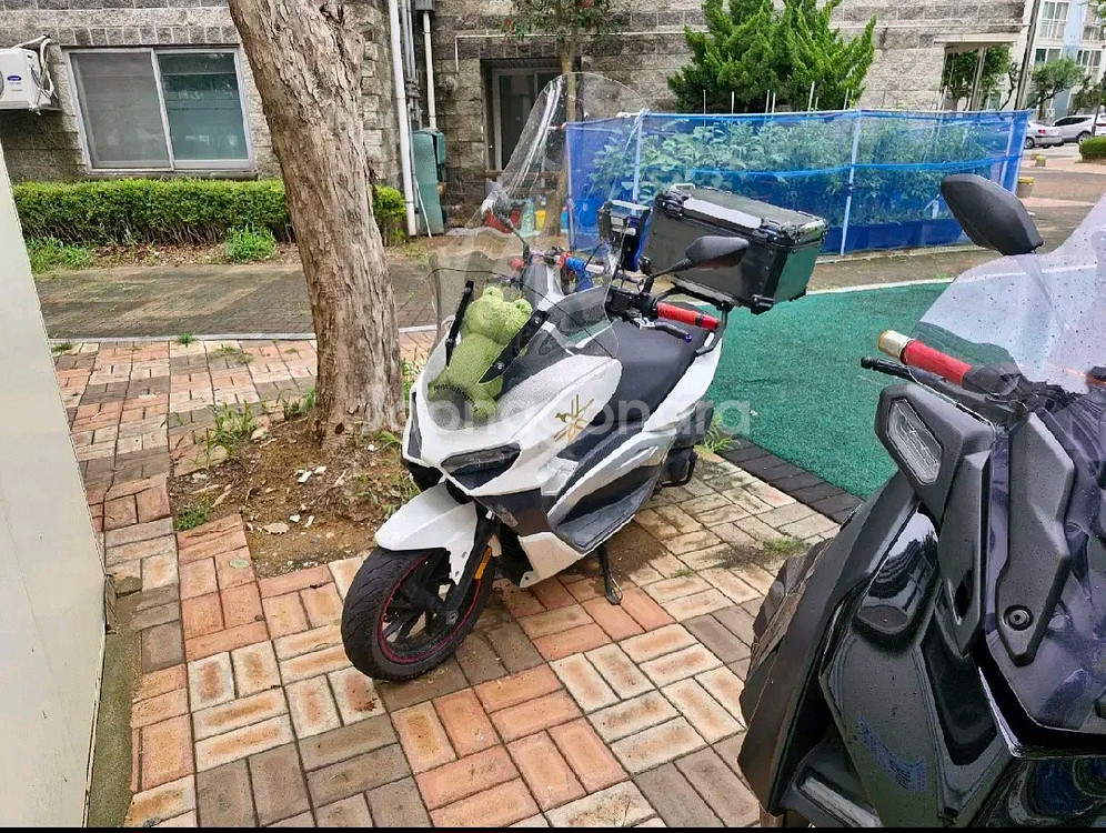 이지맥스 300--0