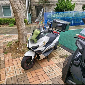 이지맥스 300