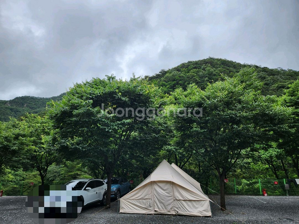 우트가르드+카리20+그라운드시트+에어박스 와이드포맨 등--0
