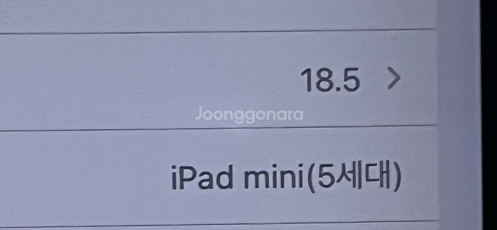 아이패드 미니5 셀룰러64--5