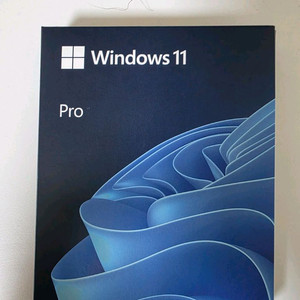 [미개봉][정품]윈도우 Windows 11 프로 fpp