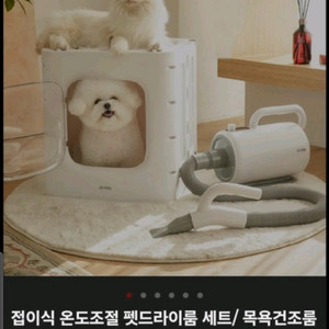라우트 펫 드라이 룸