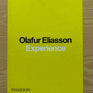 Olafur Eliasson: Experience