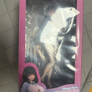 hapitopi 미소녀 피규어 1/6