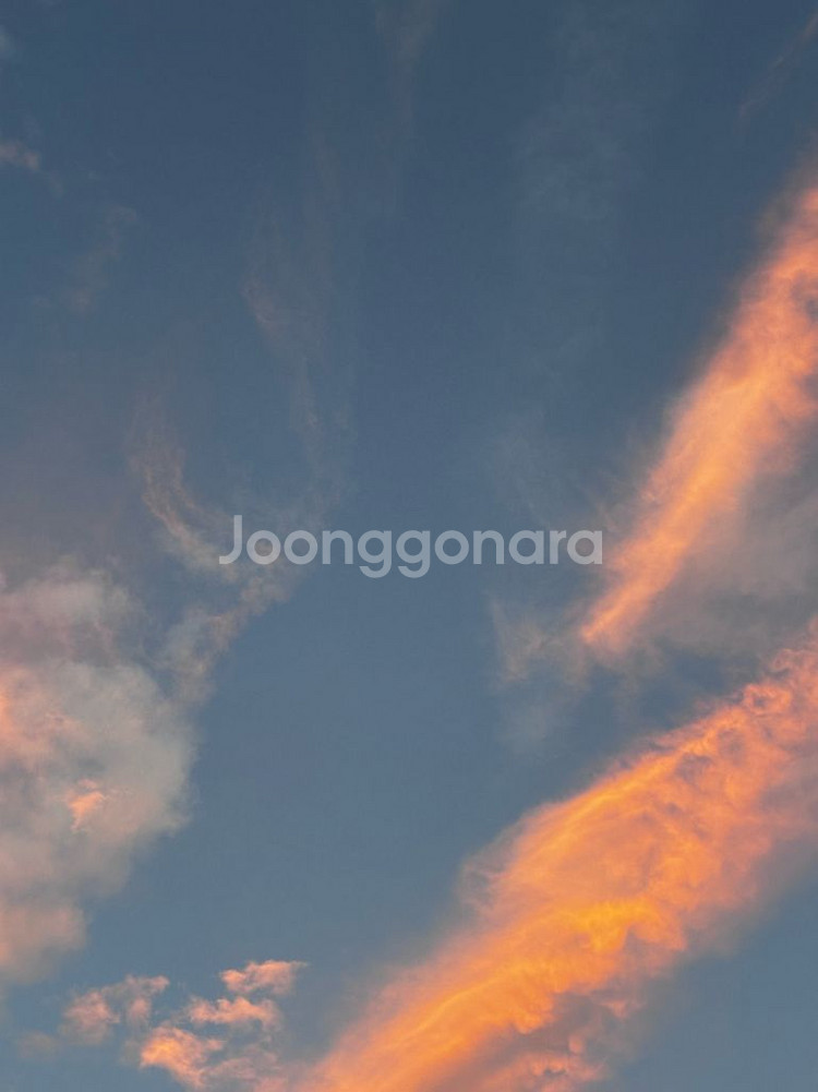 hvx-200 구매합니다--0