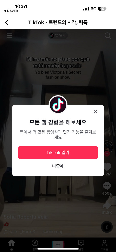 틱톡라이트이벤트 같이하실분(사례있음)--0