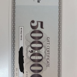 메가파일 50만원 권