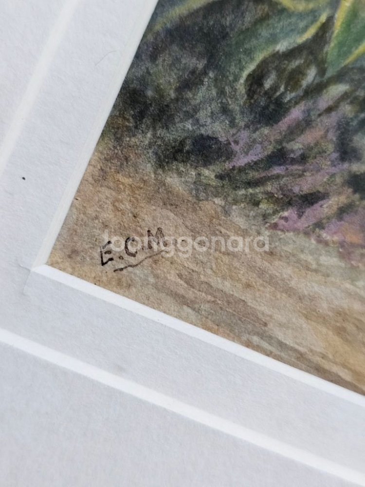 빈티지 잉글랜드 작가 수채화 48*35.5--5