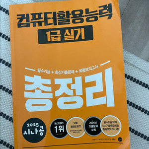 컴퓨터활용능력 실기 1급 총정리