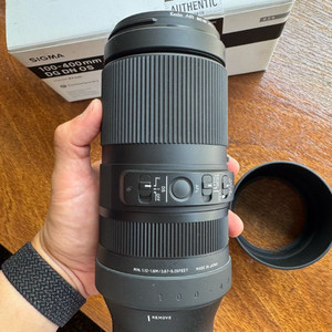 시그마(L마운트)라이카sl2사용 100-400mm