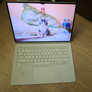 s10울트라 256 wifi