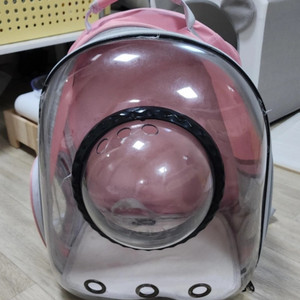애견 이동 가방